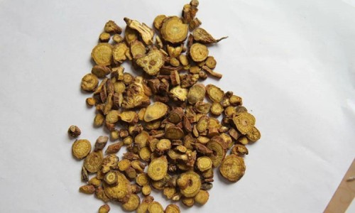 中草药忍冬屯作用-专业忍冬有啥功效平台-忍冬药材