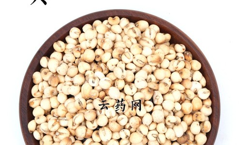 中草药忍冬屯作用-专业忍冬有啥功效平台-忍冬药材